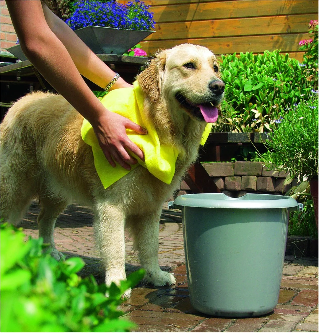 Asciugamano per cani per pelo e zampe bagnati 40 x 50 cm – Pawise Dog Towel - immagine 2