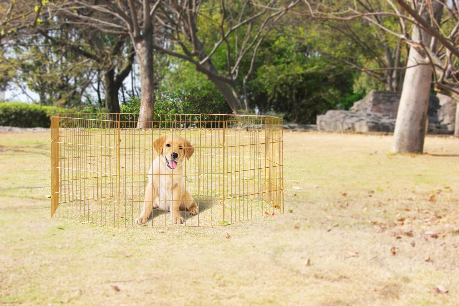 Recinto per cani pieghevole, 8 pannelli da 60 x 60 cm – Pawise Dog Play Pen S - immagine 2