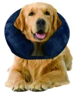 Collare protettivo gonfiabile M, da 25 a 33 cm – Pawise Inflatable Protective Collar - immagine 2