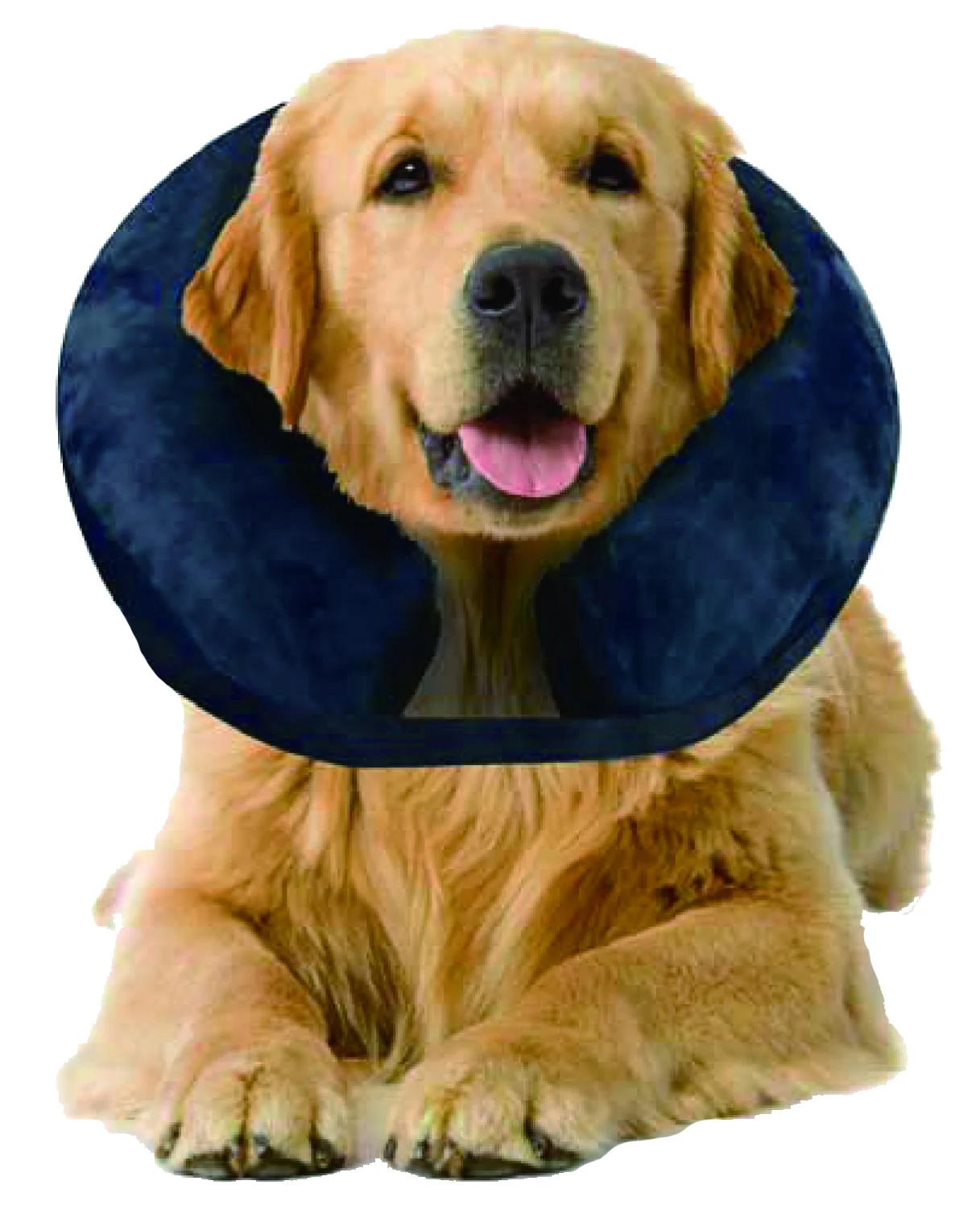 Collare protettivo gonfiabile M, da 25 a 33 cm – Pawise Inflatable Protective Collar - immagine 2