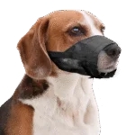 Museruola per cani in nylon, regolabile, nera, taglia XS – Pawise Adjustable Nylon Muzzle XS - immagine 2
