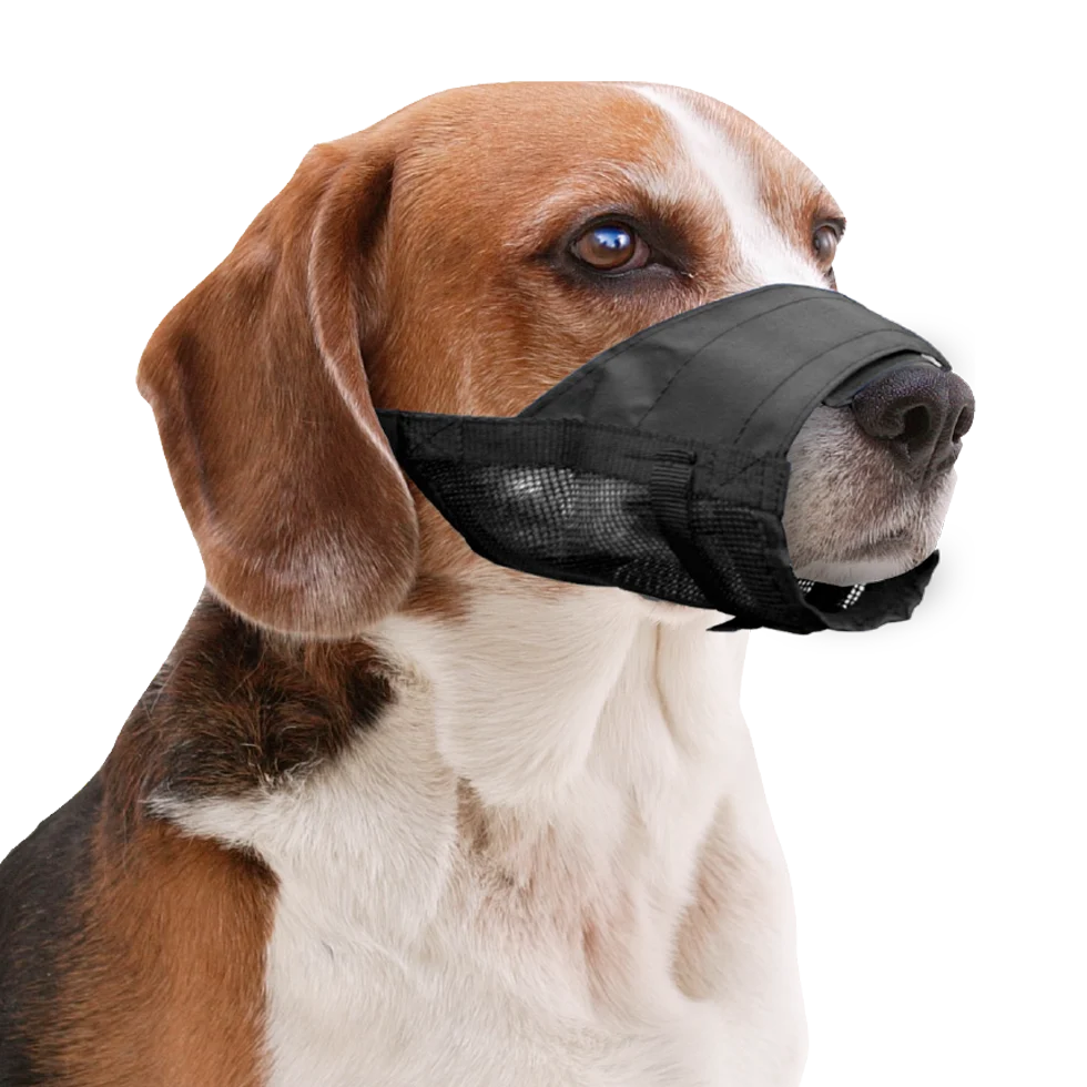 Museruola per cani in nylon regolabile, taglia S – Pawise Adjustable Nylon Muzzle S - immagine 2