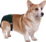 Mutandina igienica per cani con 1 assorbente, circonferenza addominale da 16 a 23 cm – Pawise Sanitary Pants XS - immagine 2