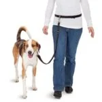 Guinzaglio hands free per cani per correre con estremità elastica da fissare alla cintura – Pawise Hands Free Doggy Jogger Kit - immagine 3