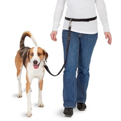Guinzaglio hands free per cani per correre con estremità elastica da fissare alla cintura – Pawise Hands Free Doggy Jogger Kit - immagine 3