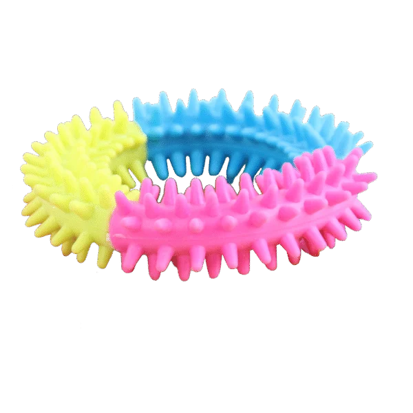 Anello per cani dai colori arcobaleno – Pawise Rainbow World Ring S