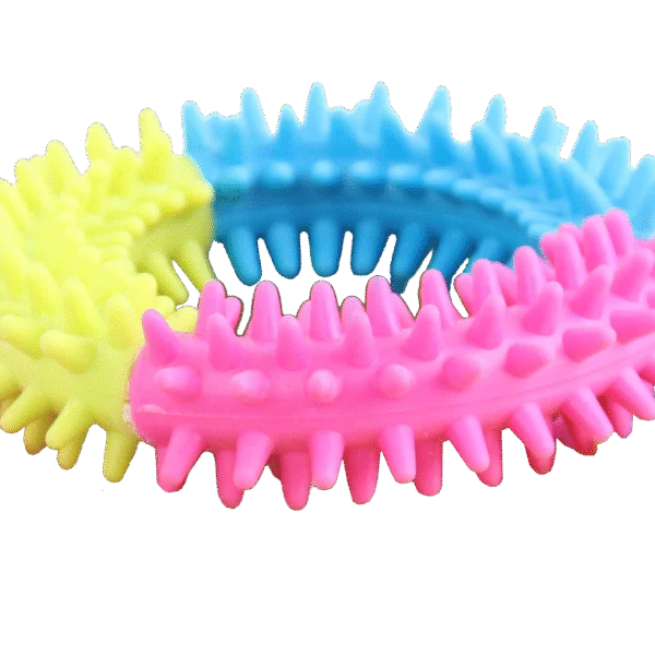 Anello da gioco per cani nei colori dell'arcobaleno – Pawise Rainbow World Ring L