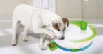 Puzzle per cani con cassetti, 27,5 x 4 cm – Pawise Level 2 Spinning Feeder - immagine 2