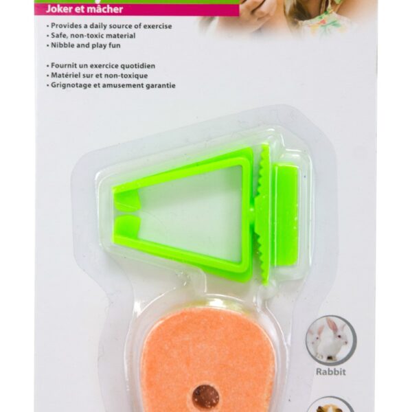 Carota da rosicchiare per conigli e cavie, spessore 1 cm – Pawise Play & Chew Salt Carrot