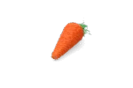 Gioco da rosicchiare per conigli e roditori, colorato – Pawise Play & Chew Carrot