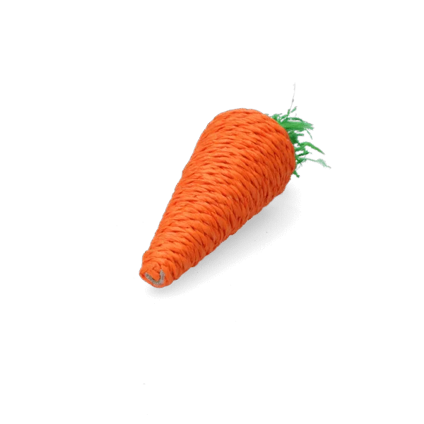 Gioco da rosicchiare per conigli e roditori, colorato – Pawise Play & Chew Carrot