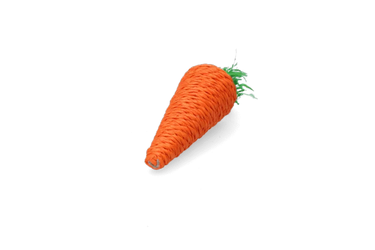 Gioco da rosicchiare per conigli e roditori, colorato – Pawise Play & Chew Carrot