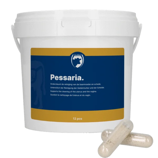 Capsule pessarie alle erbe, 12 pezzi – Excellent Pessaria Capsule