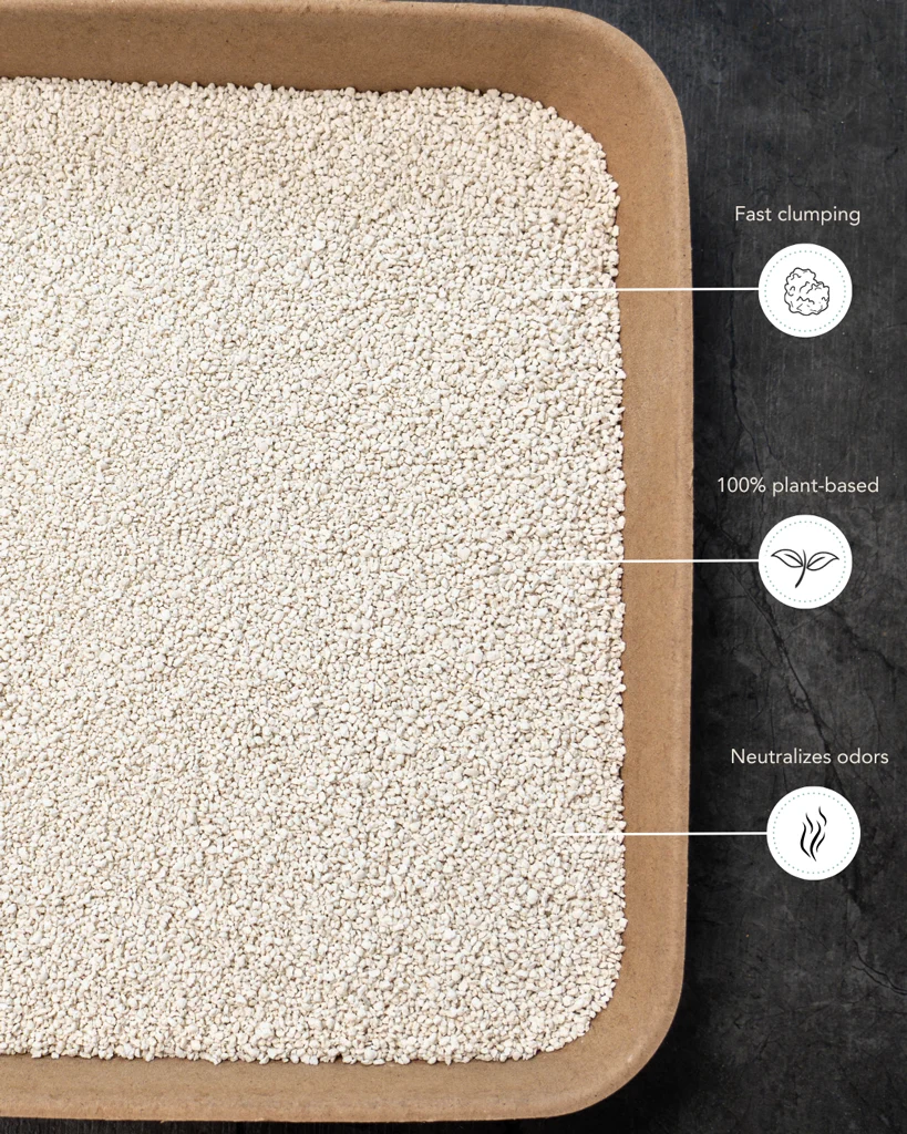 Lettiera agglomerante in tofu per lettiere automatiche, 3,5 kg – Petlux Cassava Tofu - immagine 4