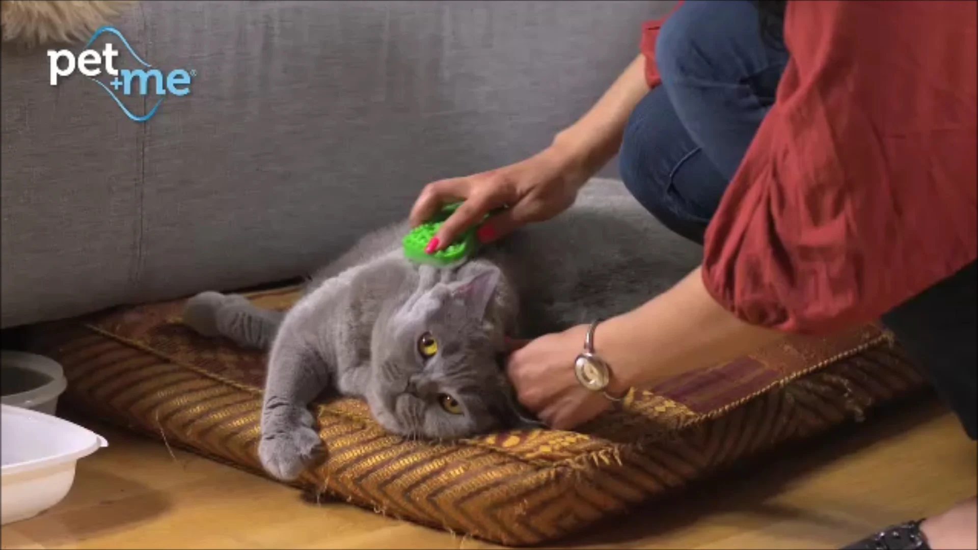 Spazzola in silicone per gatti a pelo lungo, verde – Pet + Me Cat Hair Brush - immagine 5