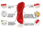 Spazzola in silicone per cani a pelo lungo, rossa – Pet + Me - immagine 3