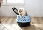 Trasportino rotondo per gatti con apertura superiore, blu – Petmate Get-A-Round Kennel - immagine 5