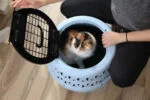 Trasportino rotondo per gatti con apertura superiore, blu – Petmate Get-A-Round Kennel - immagine 6