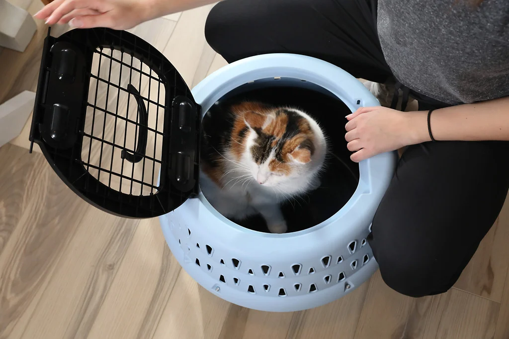 Trasportino rotondo per gatti con apertura superiore, blu – Petmate Get-A-Round Kennel - immagine 6