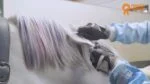 Gessetti per criniera di cavalli, colori arcobaleno, 6 pezzi – Paardenpraat TV Regenboog Kleurkrijt - immagine 2