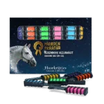 Gessetti per criniera di cavalli, colori arcobaleno, 6 pezzi – Paardenpraat TV Regenboog Kleurkrijt