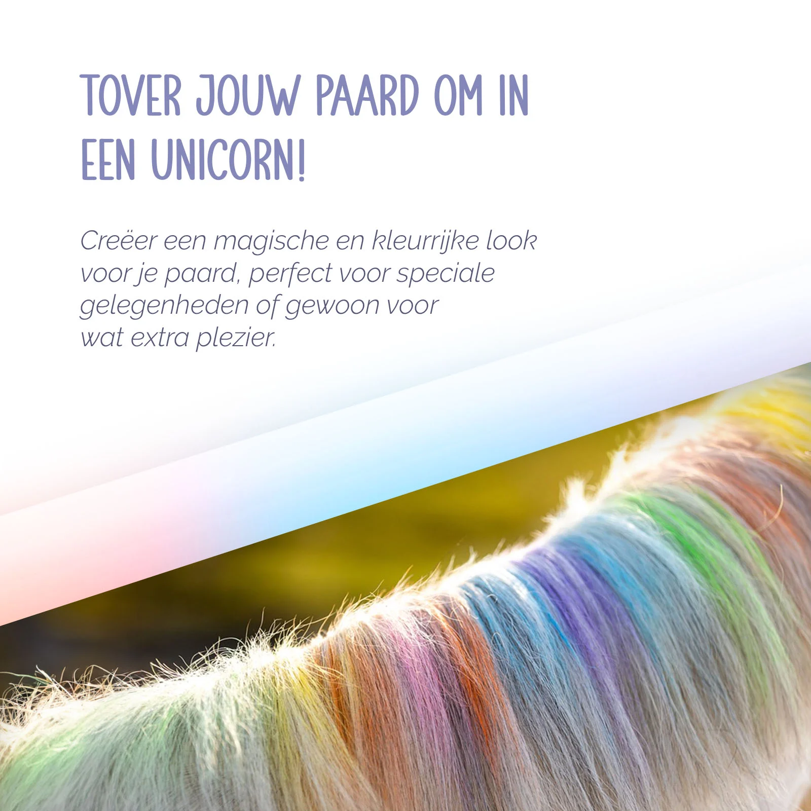 Gessetti per criniera di cavalli, colori arcobaleno, 6 pezzi – Paardenpraat TV Regenboog Kleurkrijt - immagine 6