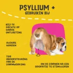 Fibre di psillio in polvere per cani, 100 g – Excellent Pets Dog Psyllium+ - immagine 6