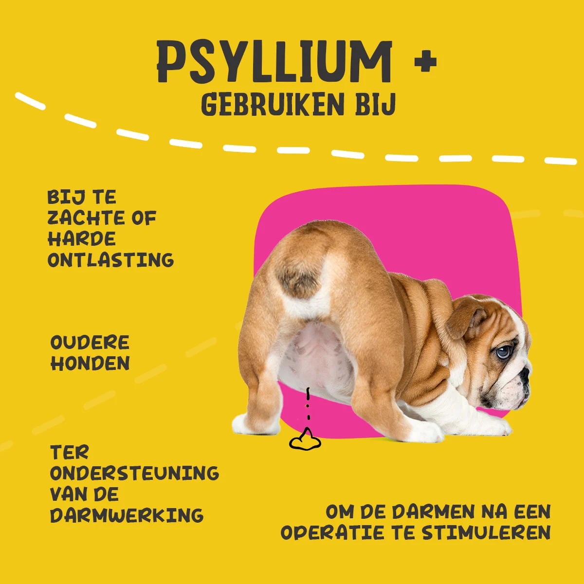 Fibre di psillio in polvere per cani, 100 g – Excellent Pets Dog Psyllium+ - immagine 6