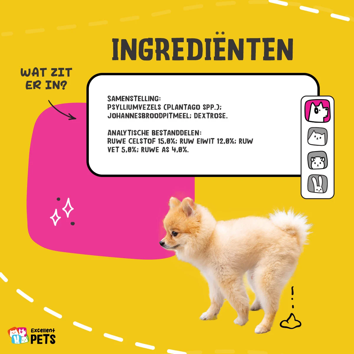 Fibre di psillio in polvere per cani, 100 g – Excellent Pets Dog Psyllium+ - immagine 4