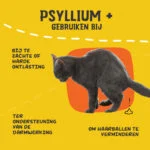 Polvere di psillio per gatti con farina di carruba, 100 g – Excellent Pets Cat Psyllium+ - immagine 6