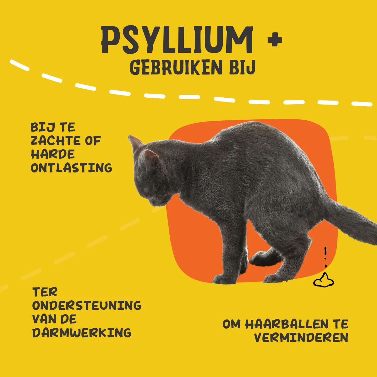Polvere di psillio per gatti con farina di carruba, 100 g – Excellent Pets Cat Psyllium+ - immagine 6