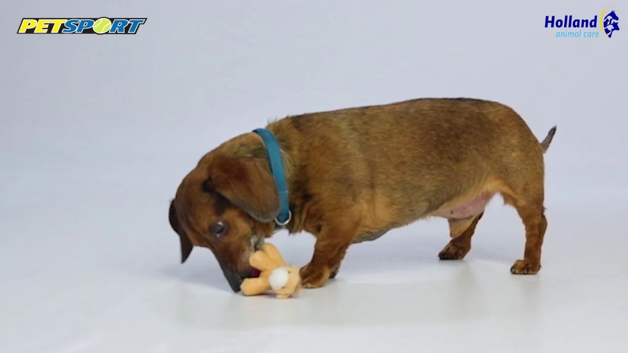Peluche per cani con squeaker, rosa, circa 10 cm – Petsport Tiny Tots Teddy - immagine 2