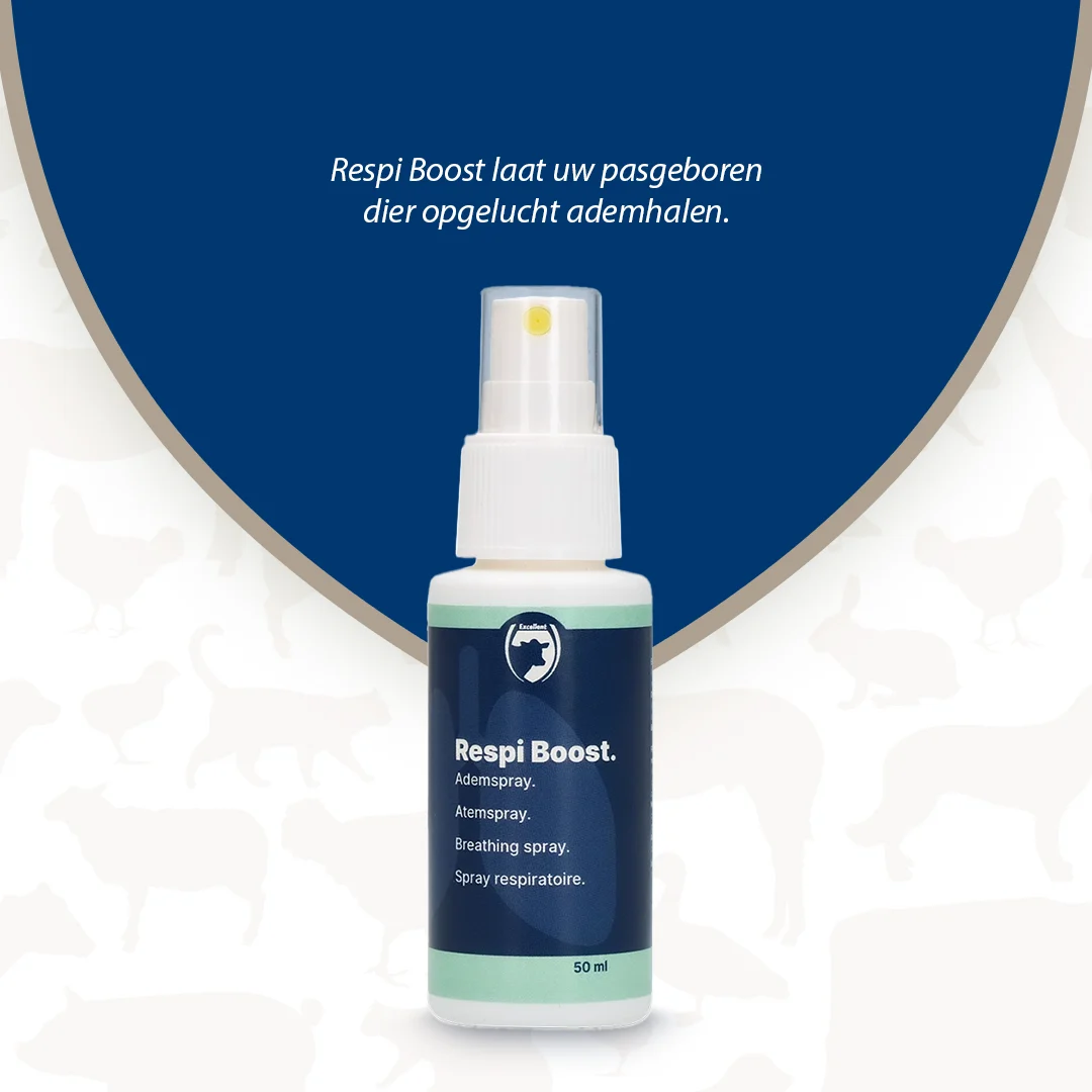 Spray respiratorio per animali appena nati, 50 ml – Excellent Respi Boost - immagine 2