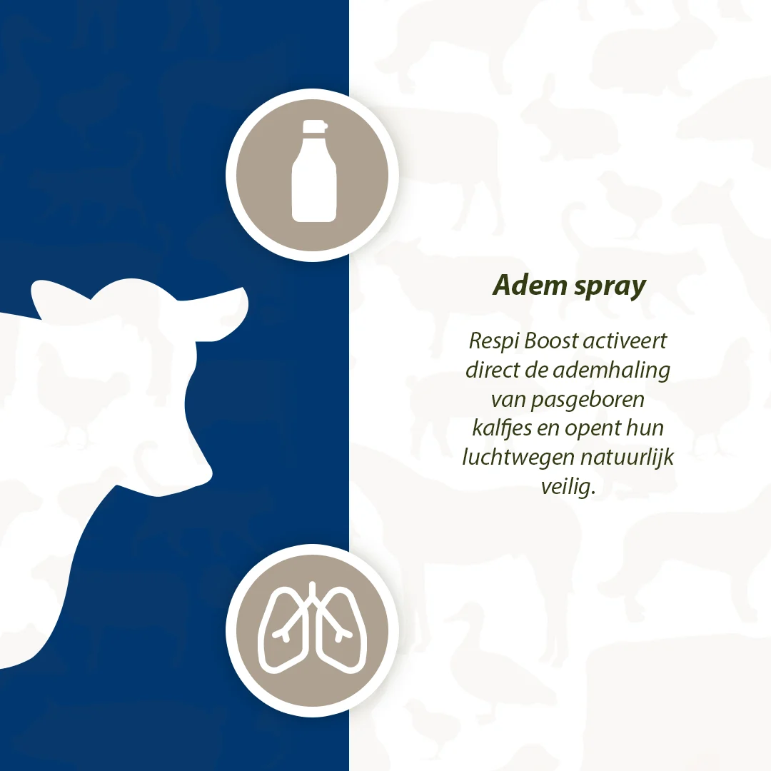Spray respiratorio per animali appena nati, 50 ml – Excellent Respi Boost - immagine 4