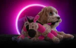 Peluche per cani Asinello con fischietto, rosa S, 20 x 25 cm – Retro Dog Donkey - immagine 4