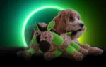 Peluche per cani a forma di asino con squeaker, Verde S – Retro Dog Donkey - immagine 4