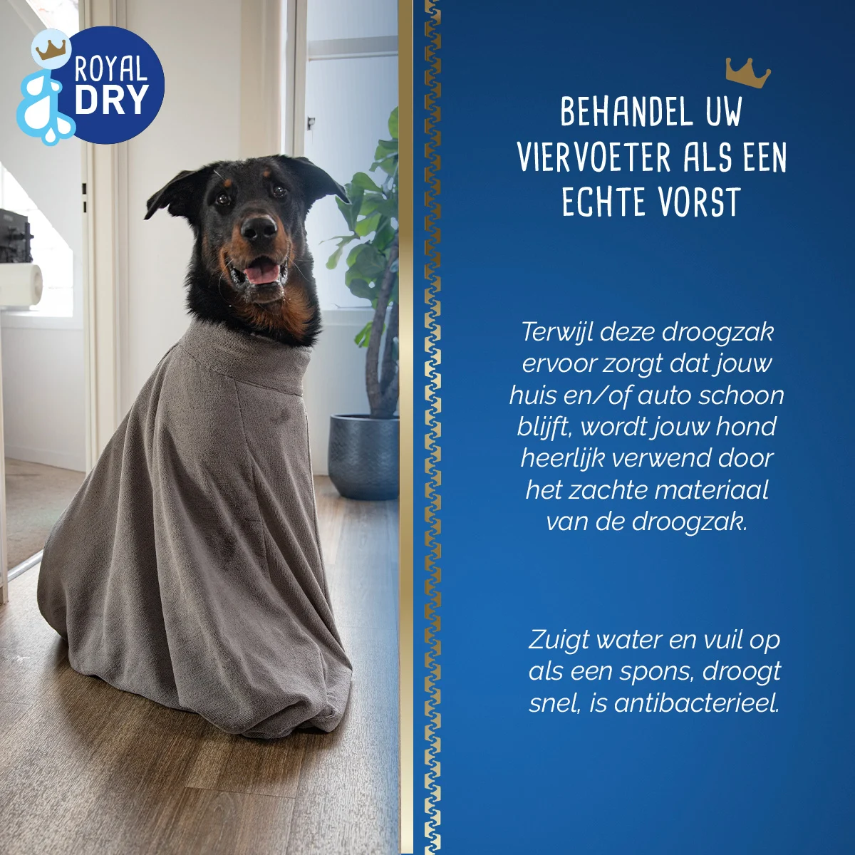 Sacco asciugacane in microfibra L, lunghezza della schiena 75 cm – Royal Dry Doggy Bag - immagine 6