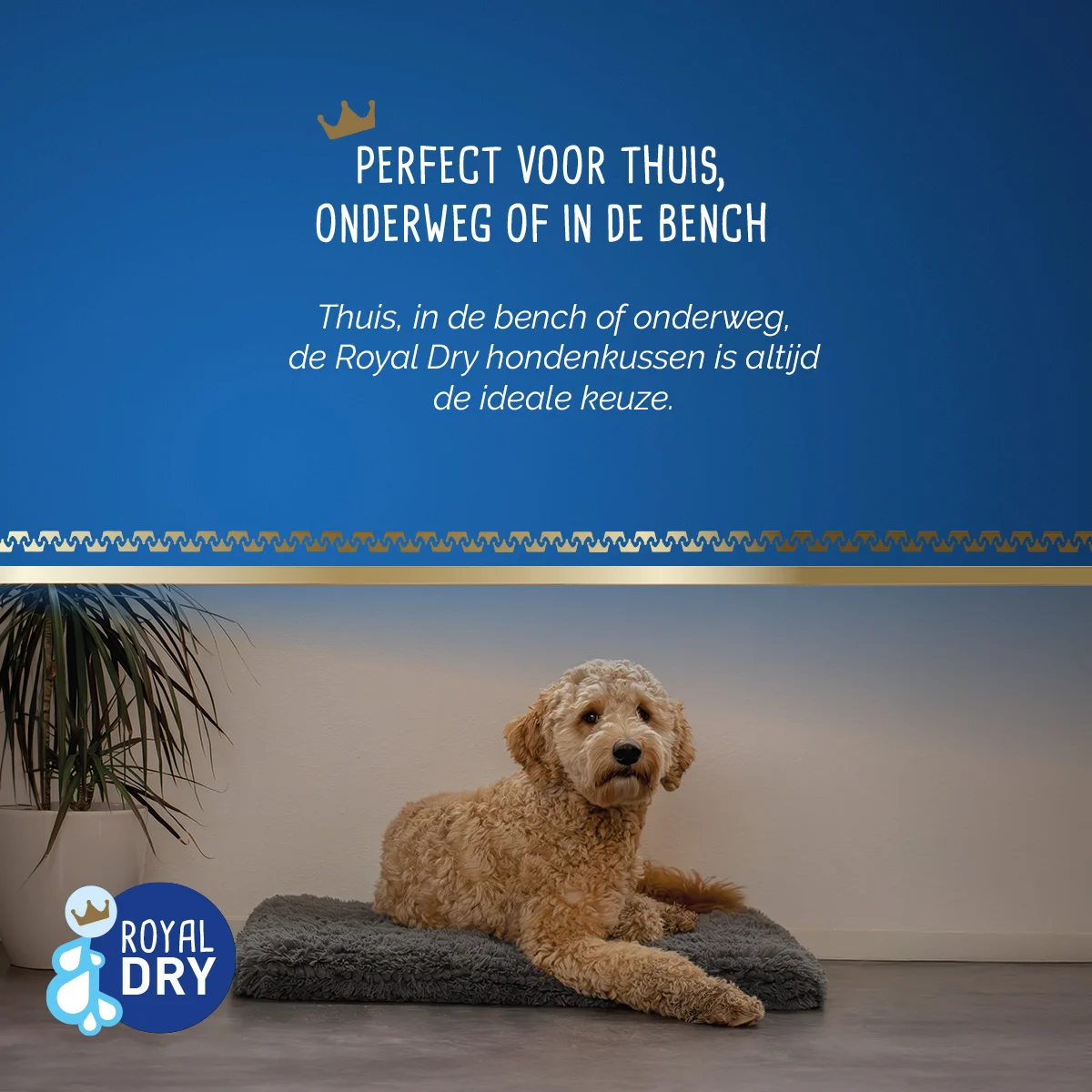 Cuscino per cani in microfibra assorbente, 58 x 91 cm – Royal Dry Pillow - immagine 6