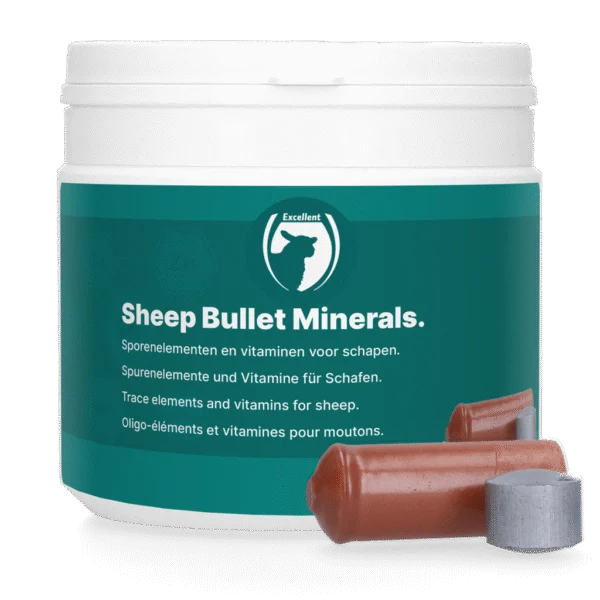 Bolo minerale per pecore, 10 boli con 10 microbullet – Excellent Sheep Bullet