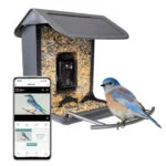 Mangiatoia per uccelli con telecamera e pannello solare, 1,5 l – Hofman Animal Care AI Bird Feeder