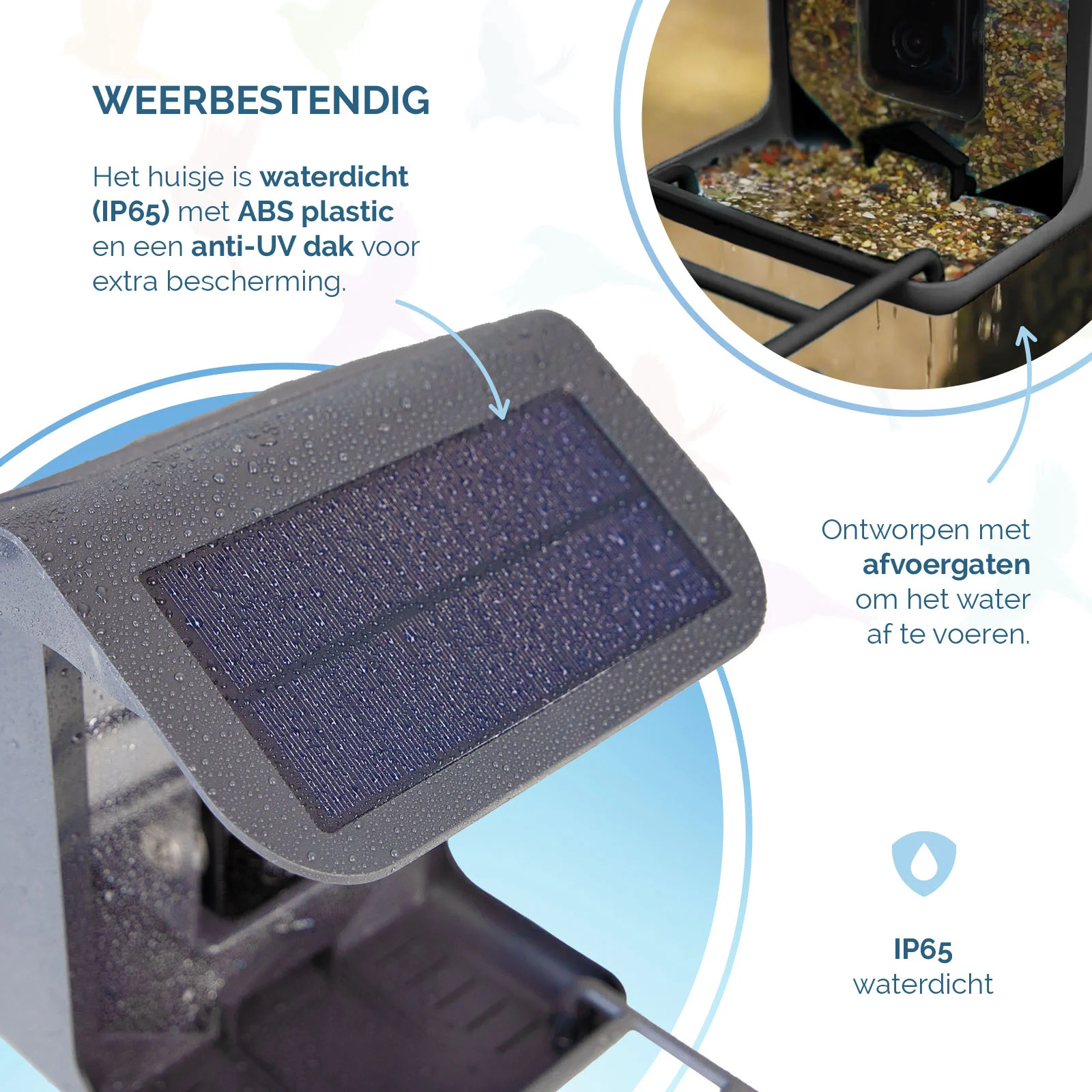 Mangiatoia per uccelli con telecamera e pannello solare, 1,5 l – Hofman Animal Care AI Bird Feeder - immagine 5