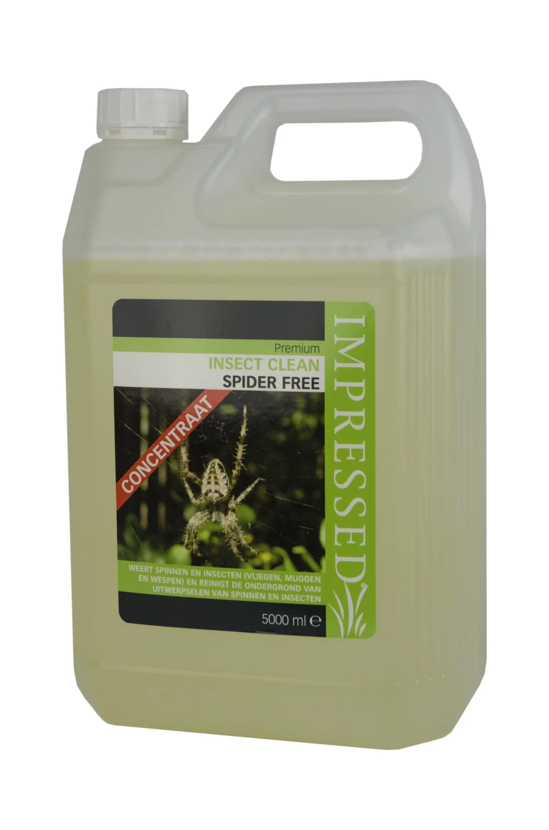Detergente concentrato per ragnatele 5 l – Impressed Web Free - immagine 2
