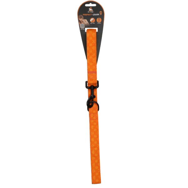 Guinzaglio per cani con anello a D, 120 cm, arancione – Spotted! Pro Perfect Leash