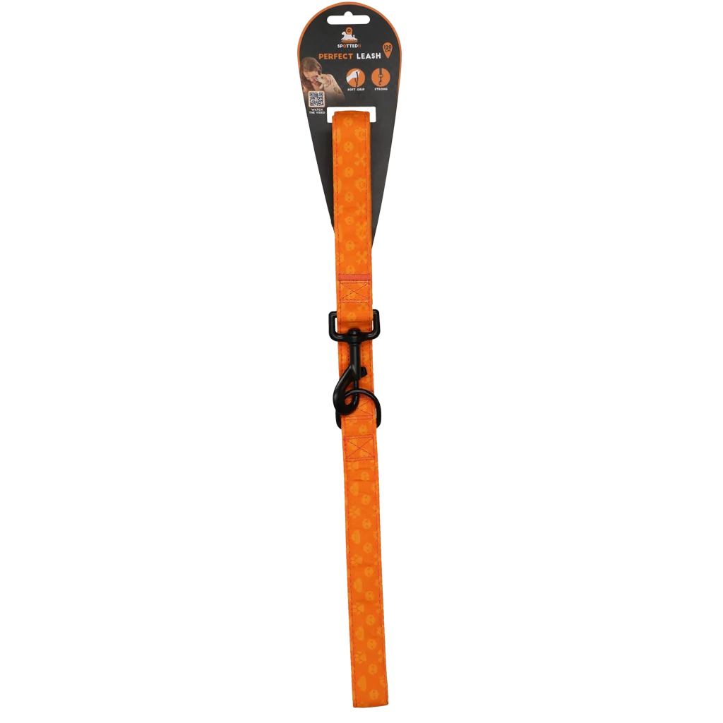 Guinzaglio per cani con anello a D, 120 cm, arancione – Spotted! Pro Perfect Leash - immagine 1
