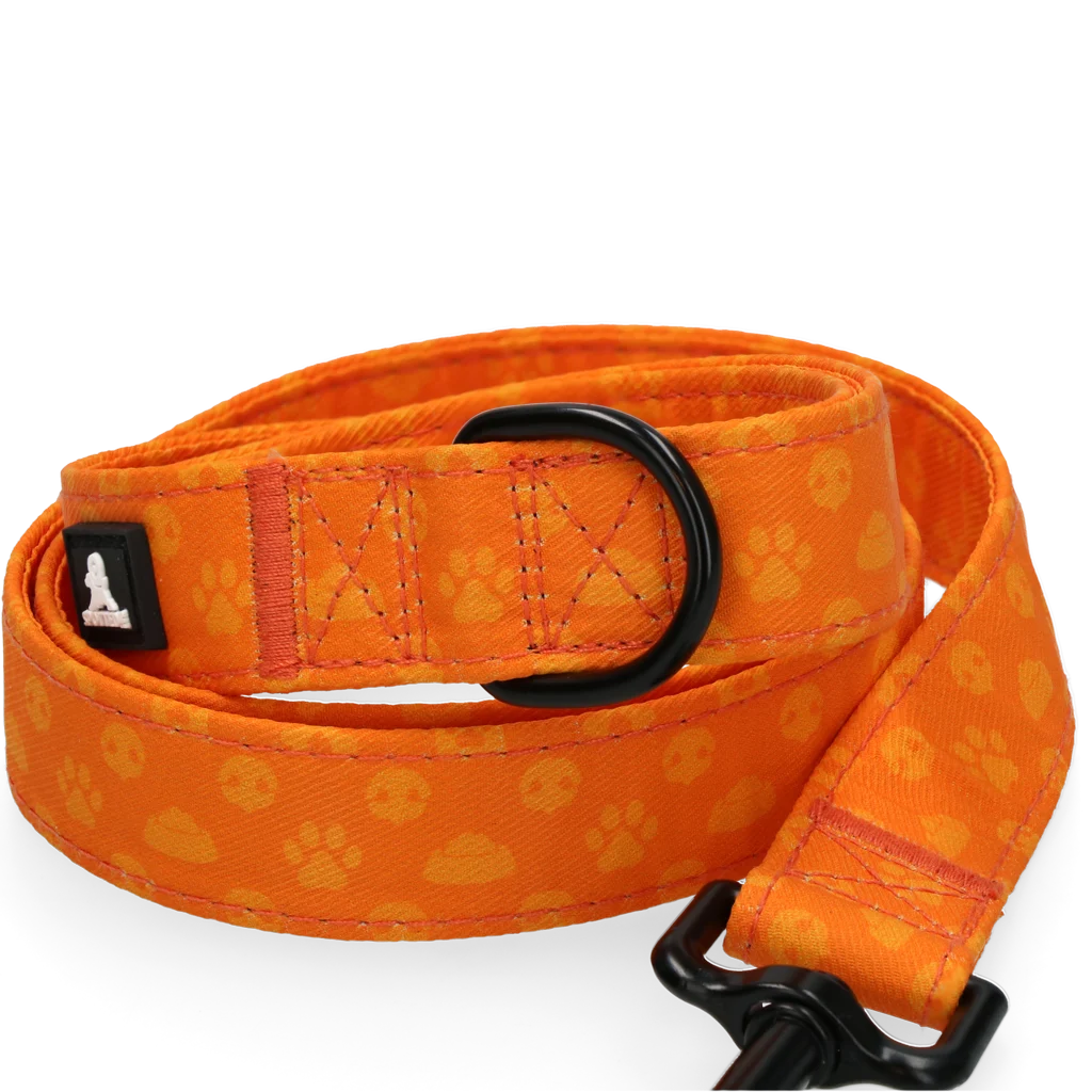 Guinzaglio per cani con anello a D, 120 cm, arancione – Spotted! Pro Perfect Leash - immagine 3