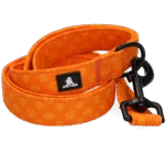 Guinzaglio per cani con anello a D, 120 cm, arancione – Spotted! Pro Perfect Leash - immagine 4
