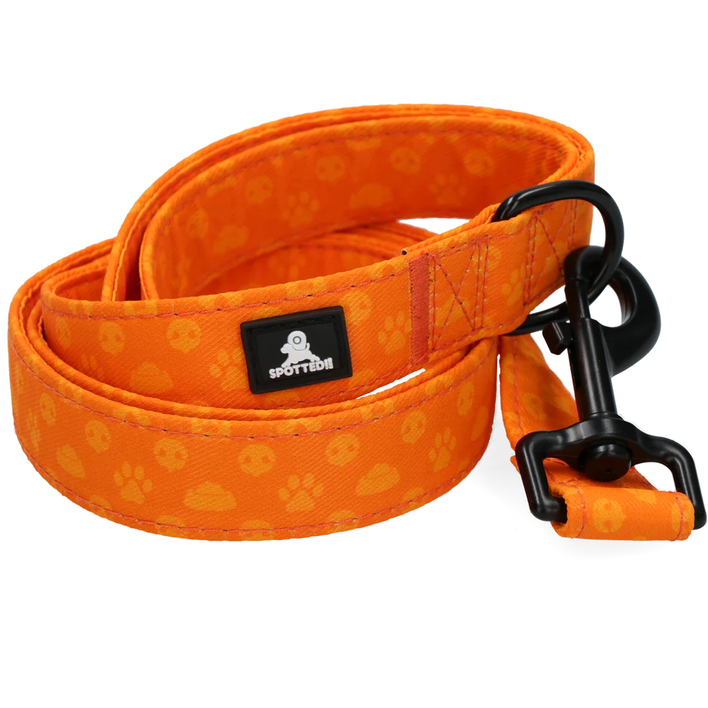Guinzaglio per cani con anello a D, 120 cm, arancione – Spotted! Pro Perfect Leash - immagine 4