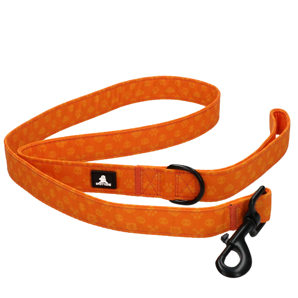 Guinzaglio per cani con anello a D, 120 cm, arancione – Spotted! Pro Perfect Leash - immagine 5