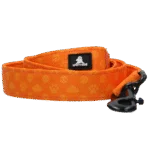 Guinzaglio per cani con anello a D, 120 cm, arancione – Spotted! Pro Perfect Leash - immagine 2