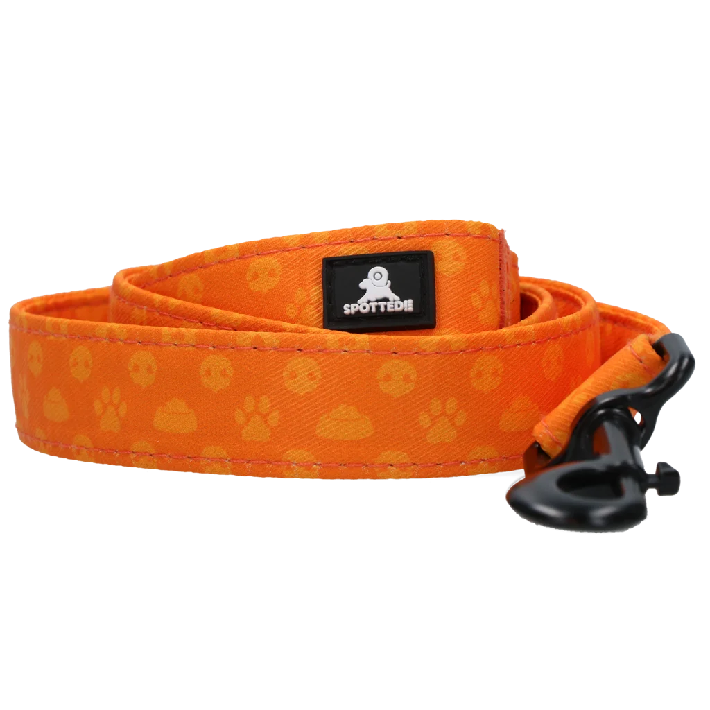 Guinzaglio per cani con anello a D, 120 cm, arancione – Spotted! Pro Perfect Leash - immagine 2